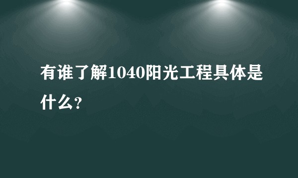 有谁了解1040阳光工程具体是什么？