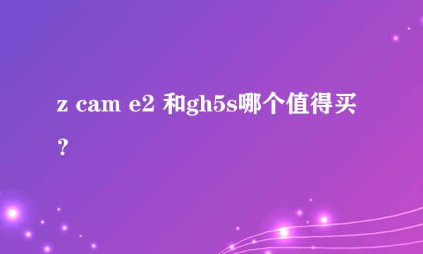 z cam e2 和gh5s哪个值得买？