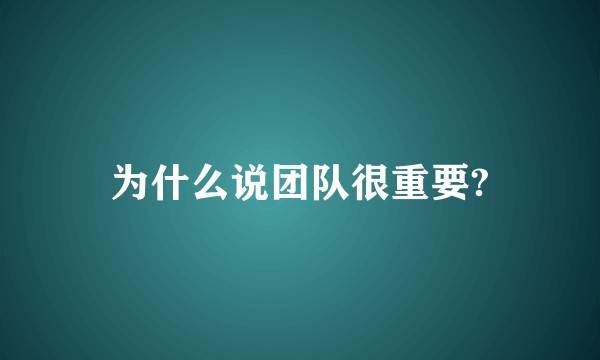 为什么说团队很重要?