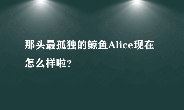 那头最孤独的鲸鱼Alice现在怎么样啦？