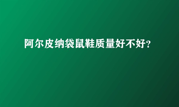 阿尔皮纳袋鼠鞋质量好不好?