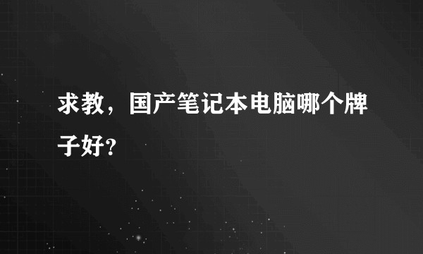 求教，国产笔记本电脑哪个牌子好？