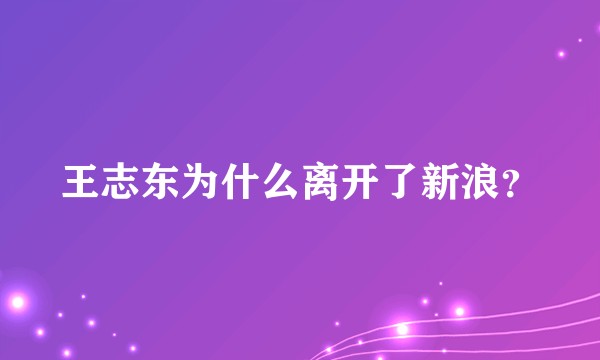 王志东为什么离开了新浪？