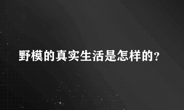 野模的真实生活是怎样的？