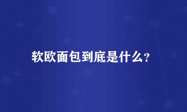 软欧面包到底是什么?