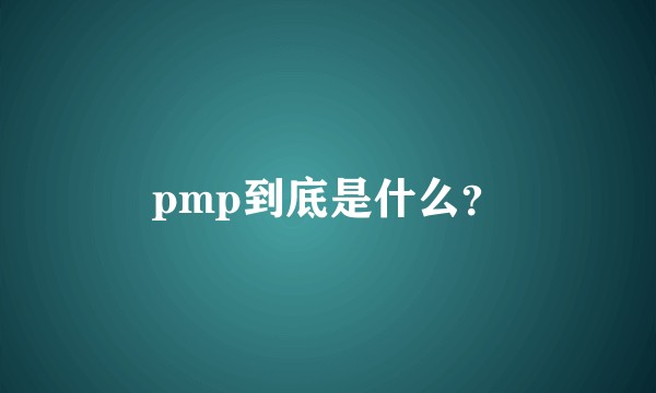 pmp到底是什么?