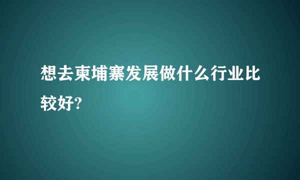 想去柬埔寨发展做什么行业比较好?