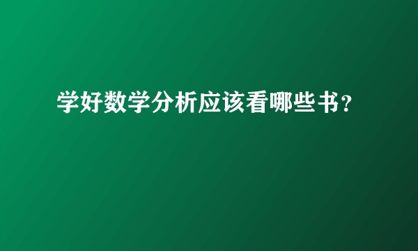 学好数学分析应该看哪些书？