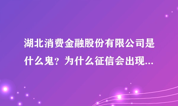 湖北消费金融股份有限公司是什么鬼？为什么征信会出现这个公司的贷款？