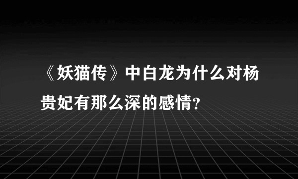《妖猫传》中白龙为什么对杨贵妃有那么深的感情？