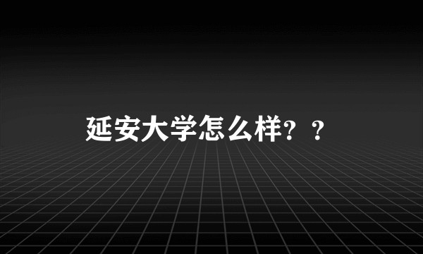 延安大学怎么样??