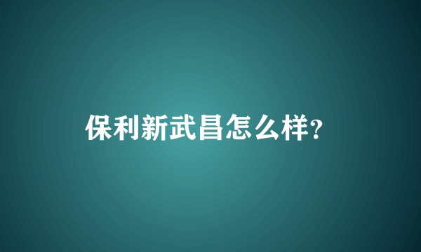 保利新武昌怎么样？