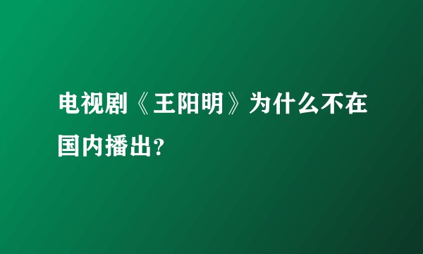 电视剧《王阳明》为什么不在国内播出？
