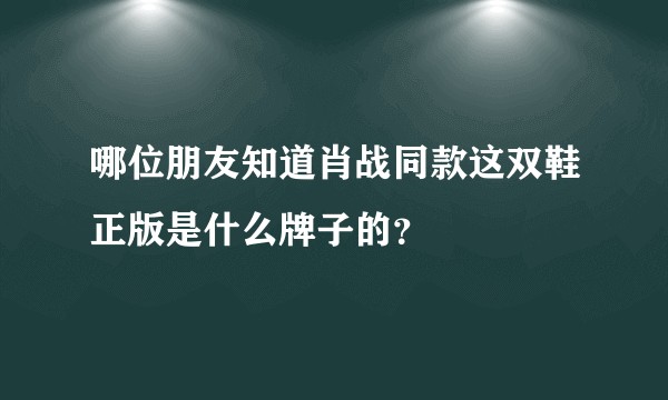 哪位朋友知道肖战同款这双鞋正版是什么牌子的？