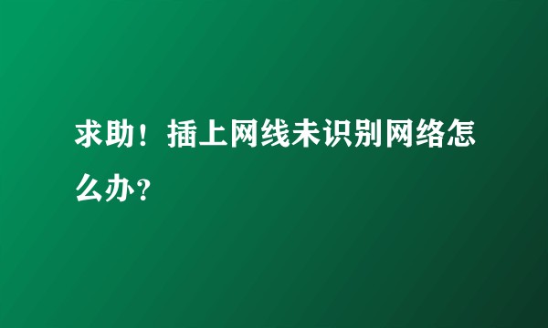 求助！插上网线未识别网络怎么办？