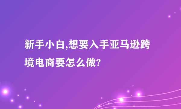 新手小白,想要入手亚马逊跨境电商要怎么做?