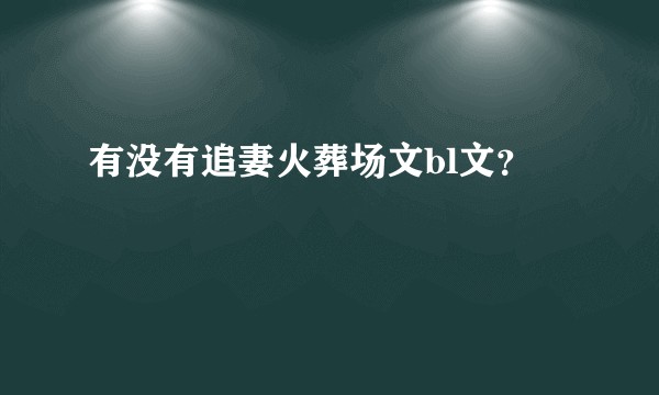 有没有追妻火葬场文bl文？
