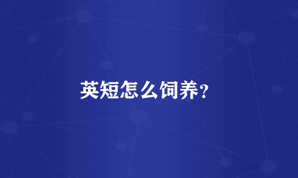 英短怎么饲养？