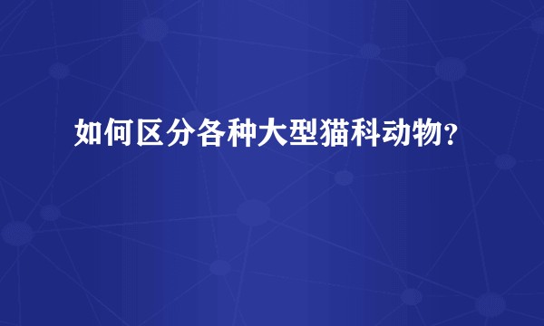 如何区分各种大型猫科动物？