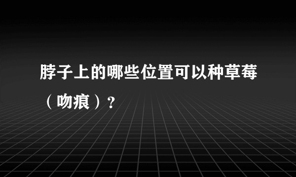 脖子上的哪些位置可以种草莓（吻痕）？