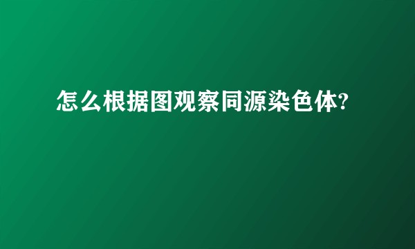 怎么根据图观察同源染色体?