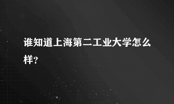 谁知道上海第二工业大学怎么样？