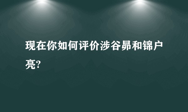 现在你如何评价涉谷昴和锦户亮?