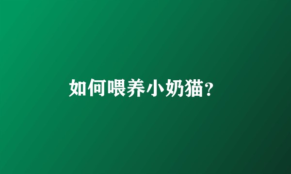 如何喂养小奶猫？