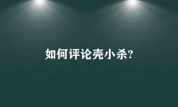 如何评论壳小杀?