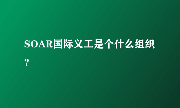 SOAR国际义工是个什么组织?