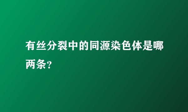 有丝分裂中的同源染色体是哪两条？