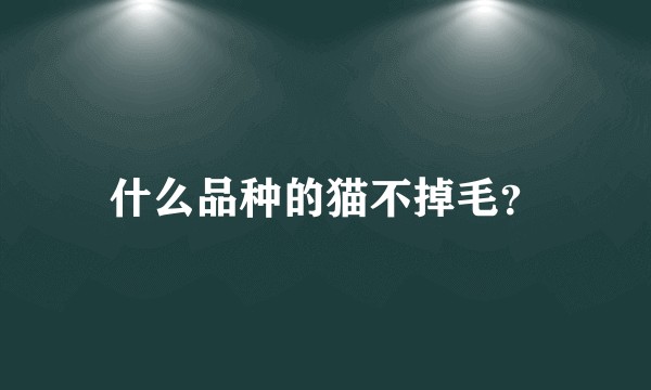 什么品种的猫不掉毛？