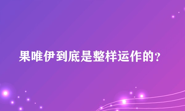 果唯伊到底是整样运作的？