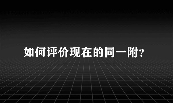 如何评价现在的同一附?