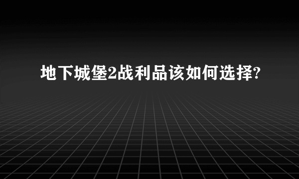 地下城堡2战利品该如何选择?
