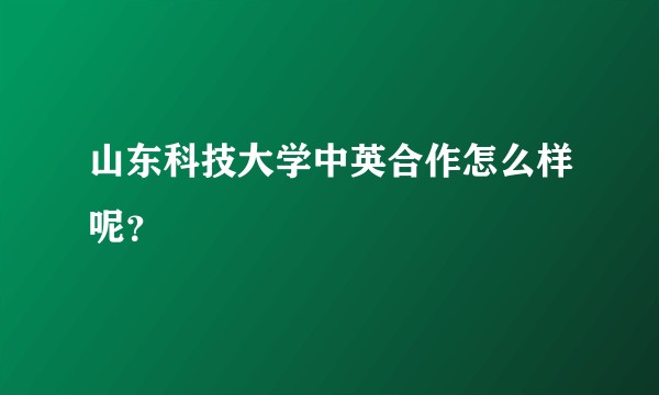 山东科技大学中英合作怎么样呢?
