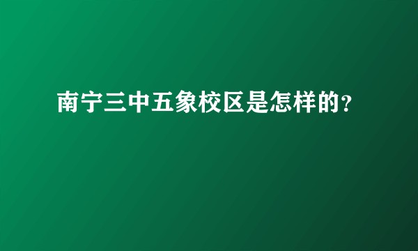 南宁三中五象校区是怎样的?