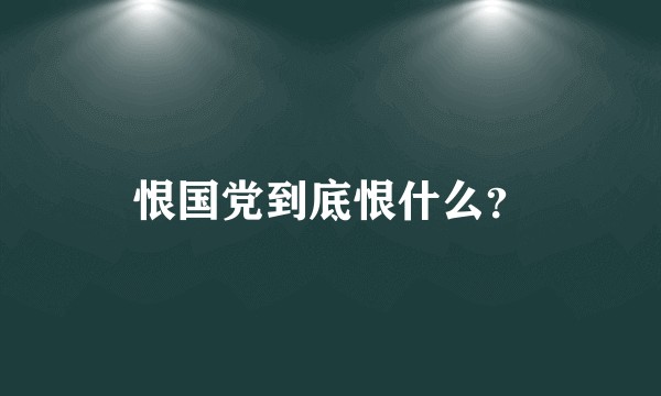 恨国党到底恨什么？