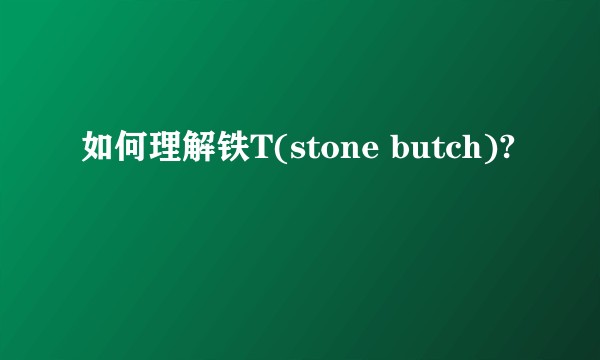 如何理解铁T(stone butch)?