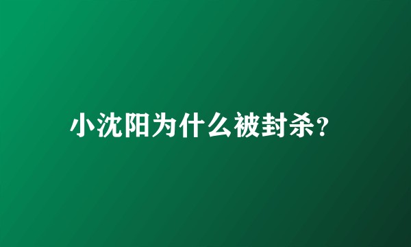 小沈阳为什么被封杀？
