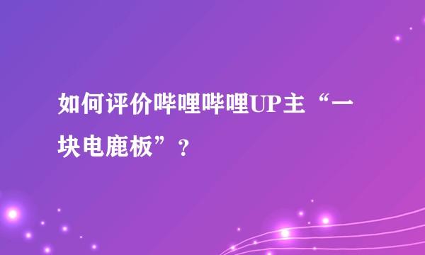 如何评价哔哩哔哩UP主“一块电鹿板”？