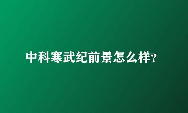 中科寒武纪前景怎么样？