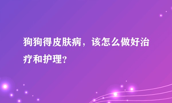 狗狗得皮肤病,该怎么做好治疗和护理?