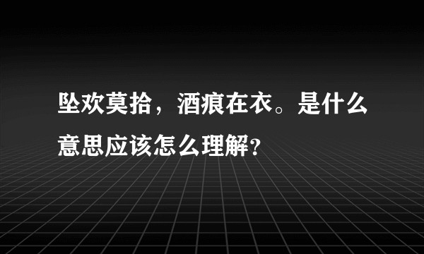 坠欢莫拾,酒痕在衣。是什么意思应该怎么理解?
