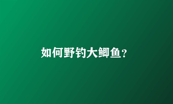 如何野钓大鲫鱼？