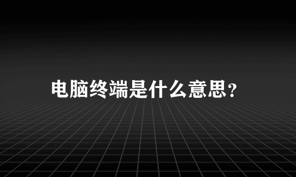 电脑终端是什么意思？