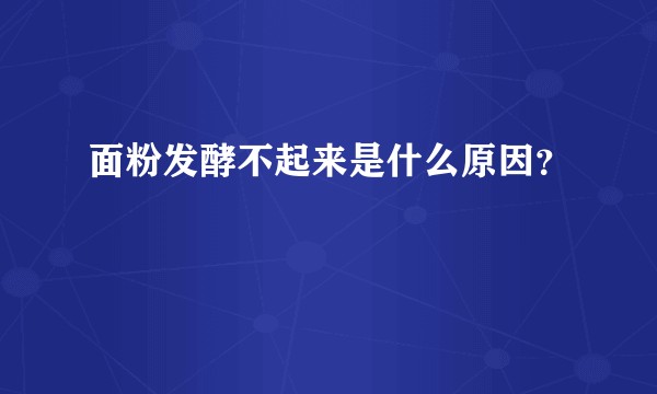 面粉发酵不起来是什么原因？