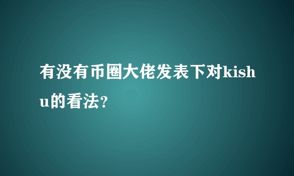 有没有币圈大佬发表下对kishu的看法?