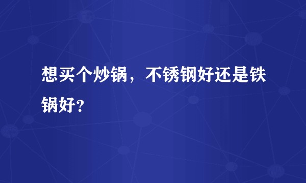 想买个炒锅，不锈钢好还是铁锅好？