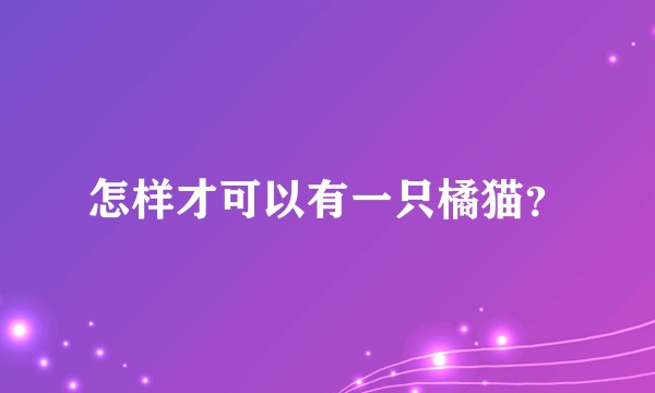 怎样才可以有一只橘猫?